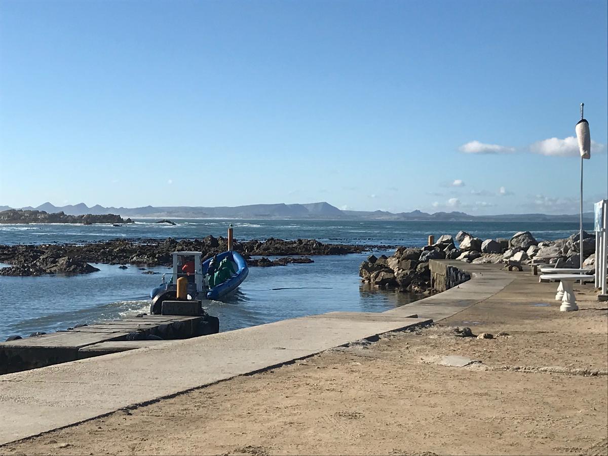 Fairview Accommodation Gansbaai Zewnętrze zdjęcie